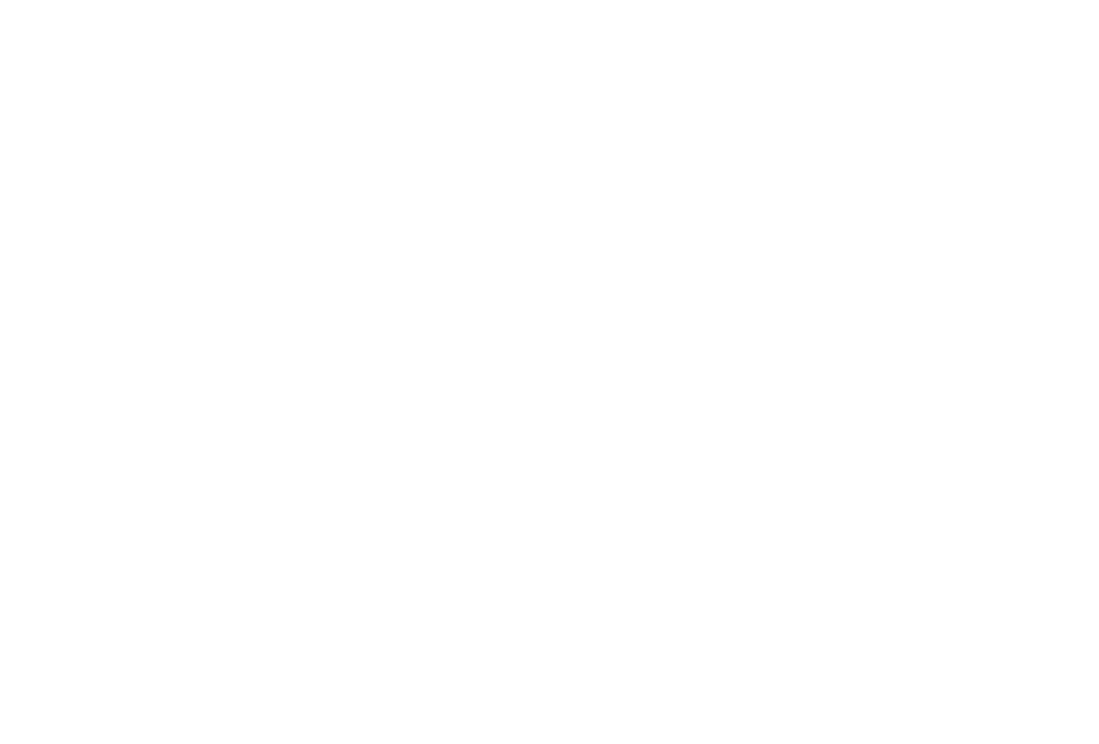logo 0%